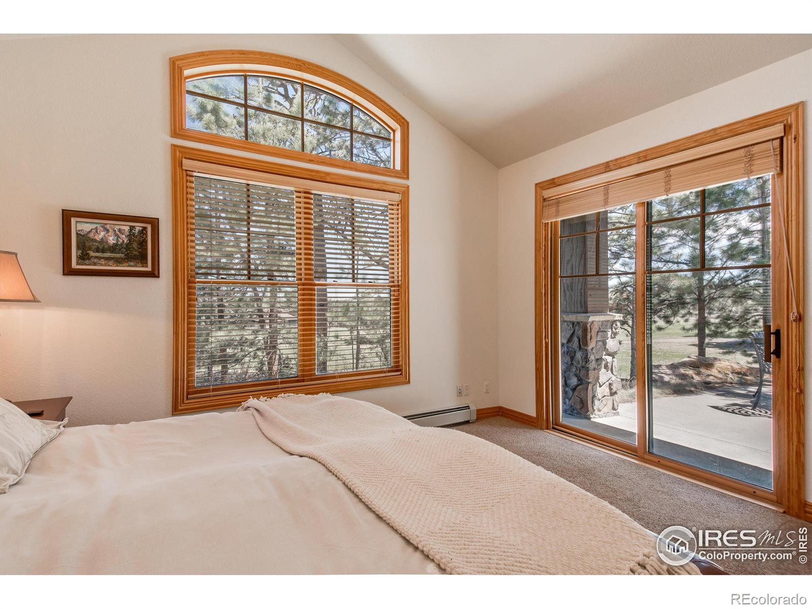 MLS Image #15 for 326  juniper court,red feather lakes, Colorado