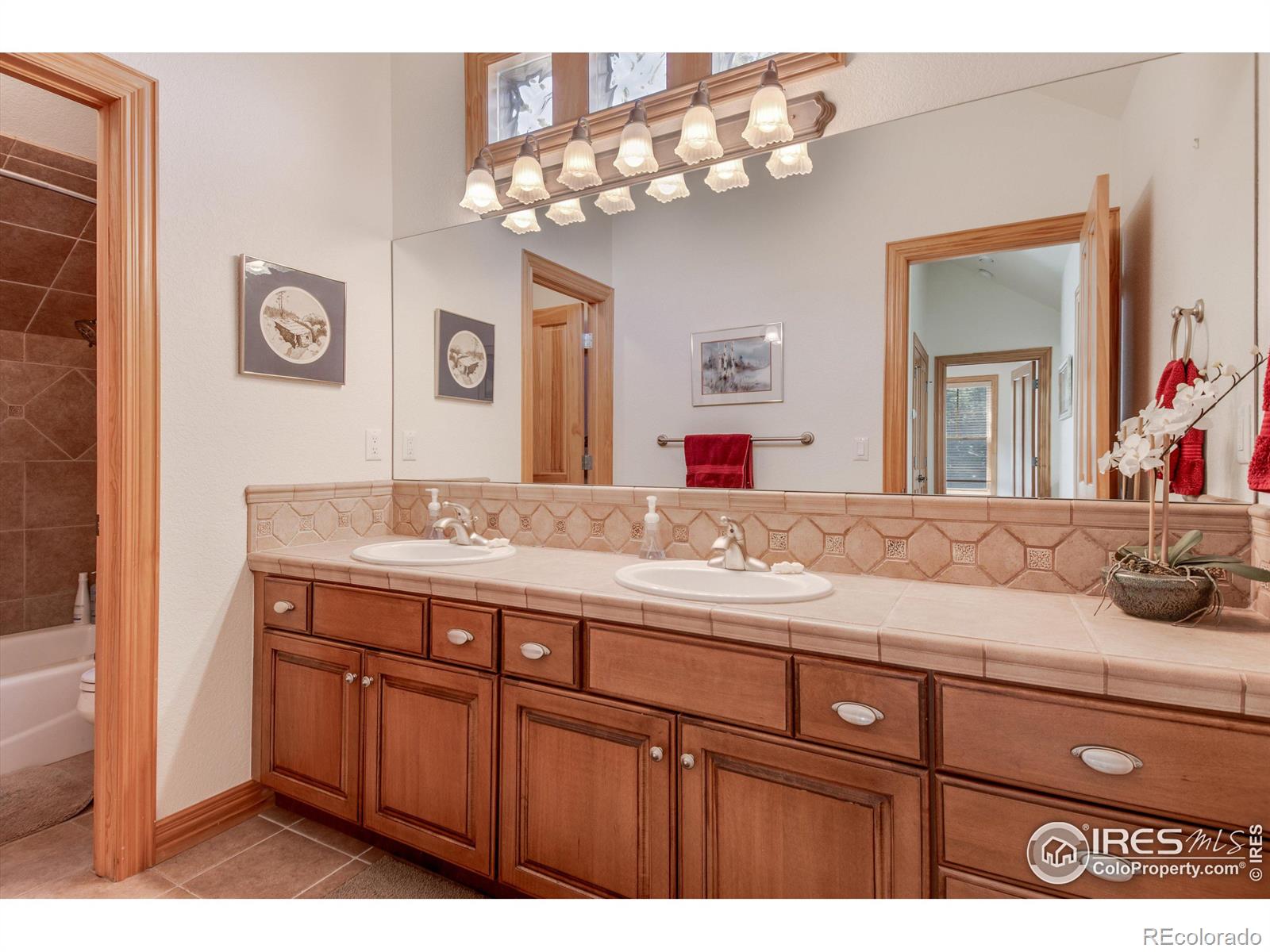 MLS Image #24 for 326  juniper court,red feather lakes, Colorado