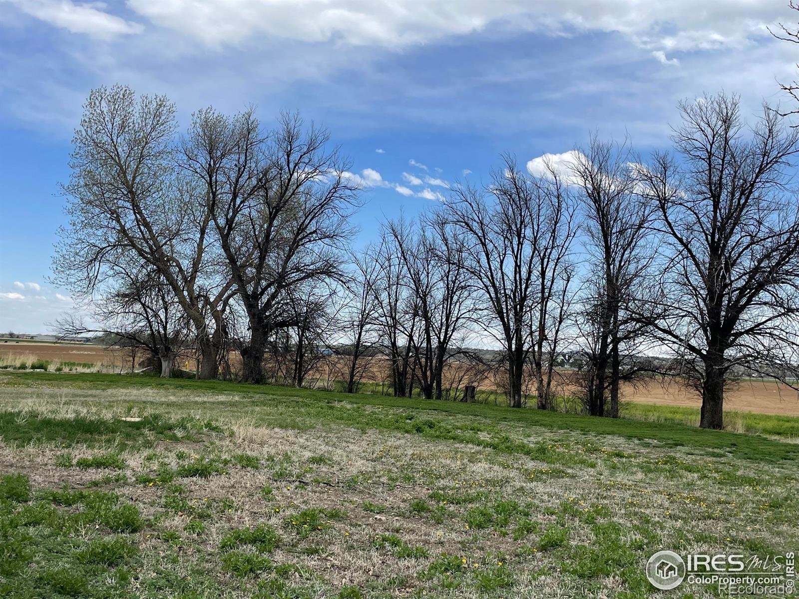 MLS Image #14 for 31496  county road 29 ,greeley, Colorado