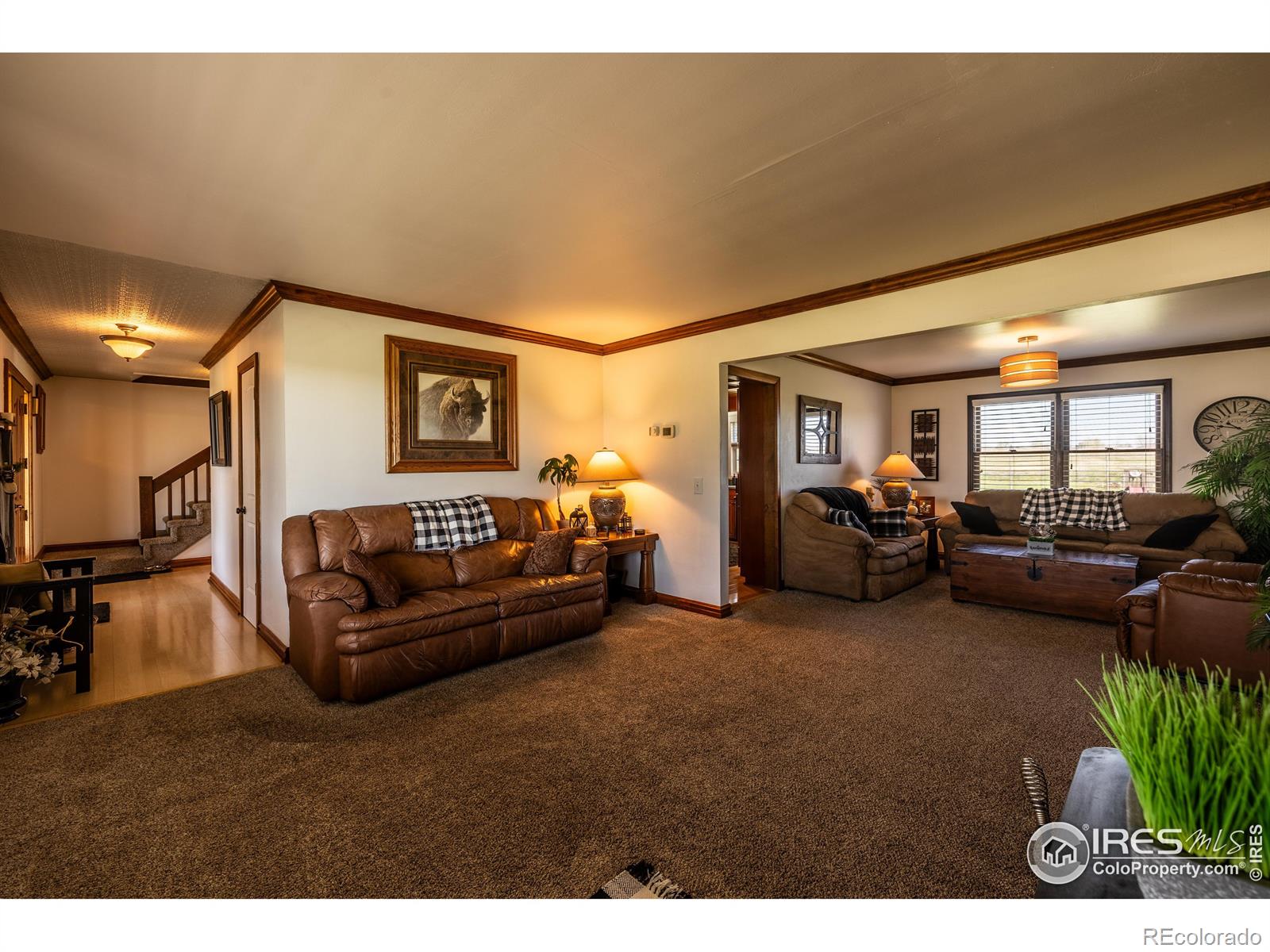 MLS Image #15 for 3363  lowell lane,erie, Colorado