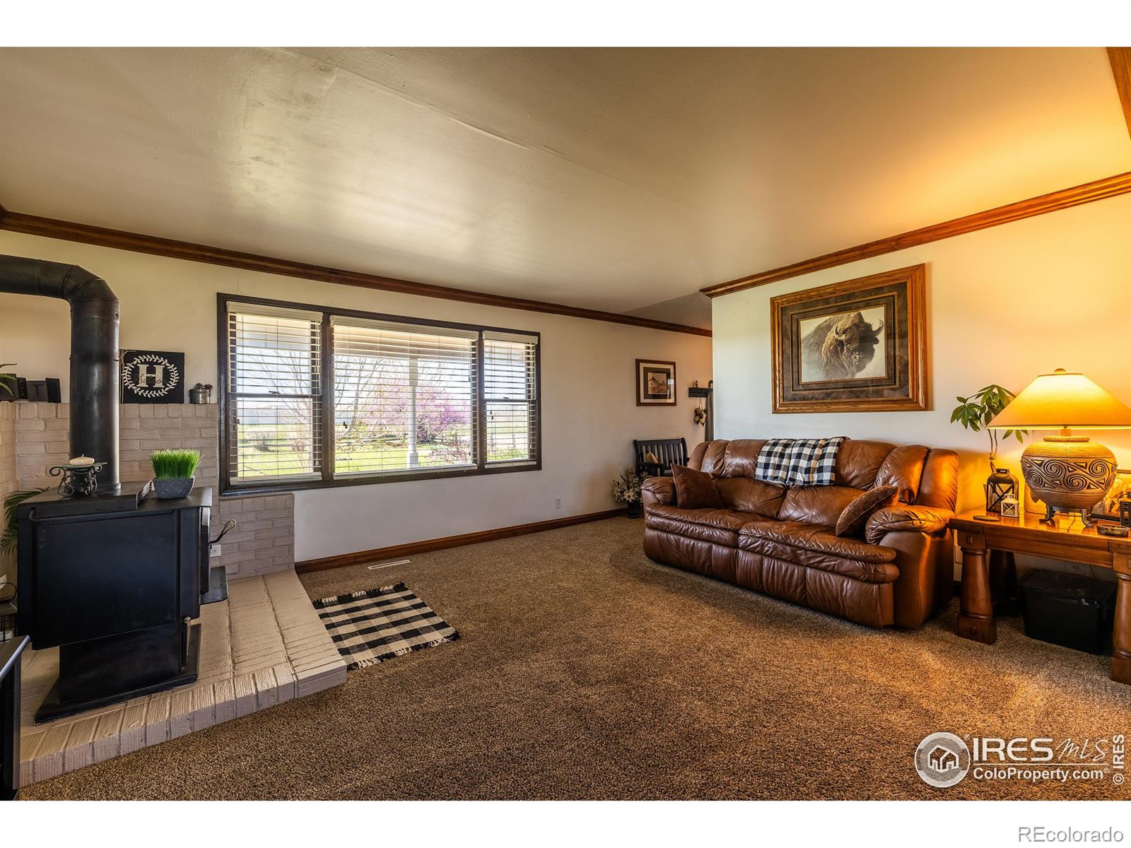 MLS Image #16 for 3363  lowell lane,erie, Colorado