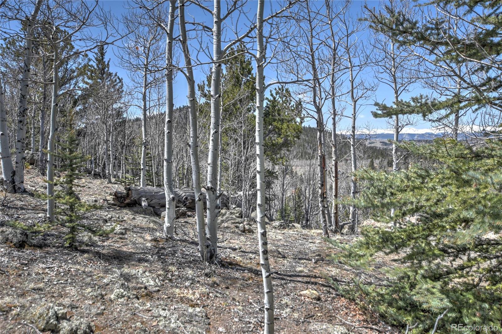 MLS Image #26 for 77  spoke court,jefferson, Colorado