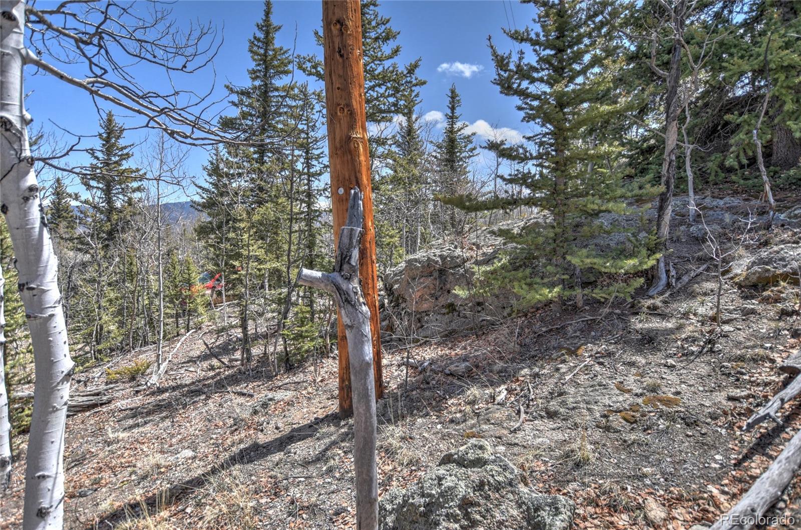 MLS Image #34 for 77  spoke court,jefferson, Colorado