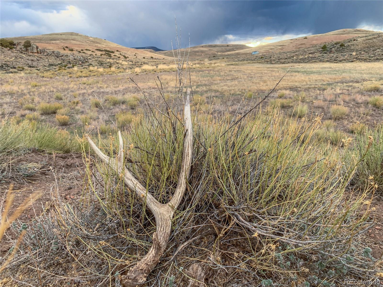 MLS Image #13 for 9999  state highway 114 ,gunnison, Colorado