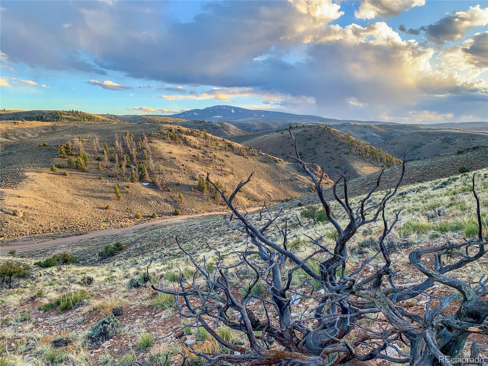 MLS Image #3 for 9999  state highway 114 ,gunnison, Colorado