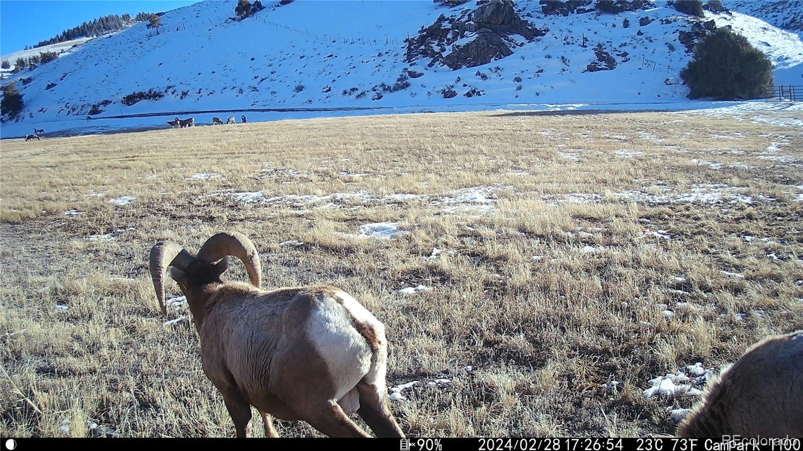 MLS Image #32 for 9999  state highway 114 ,gunnison, Colorado