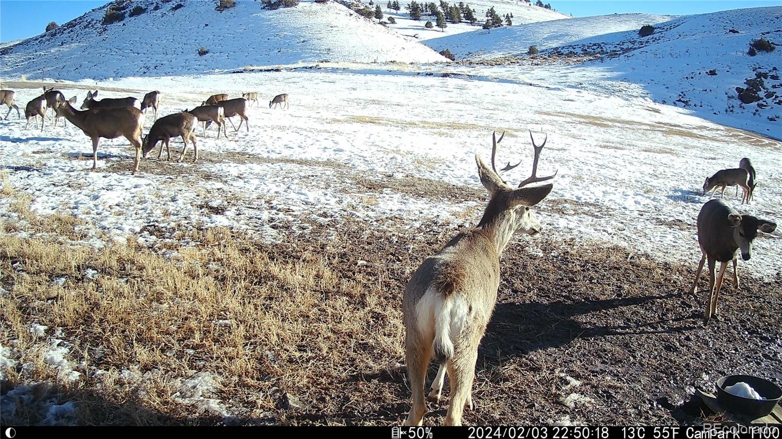 MLS Image #33 for 9999  state highway 114 ,gunnison, Colorado