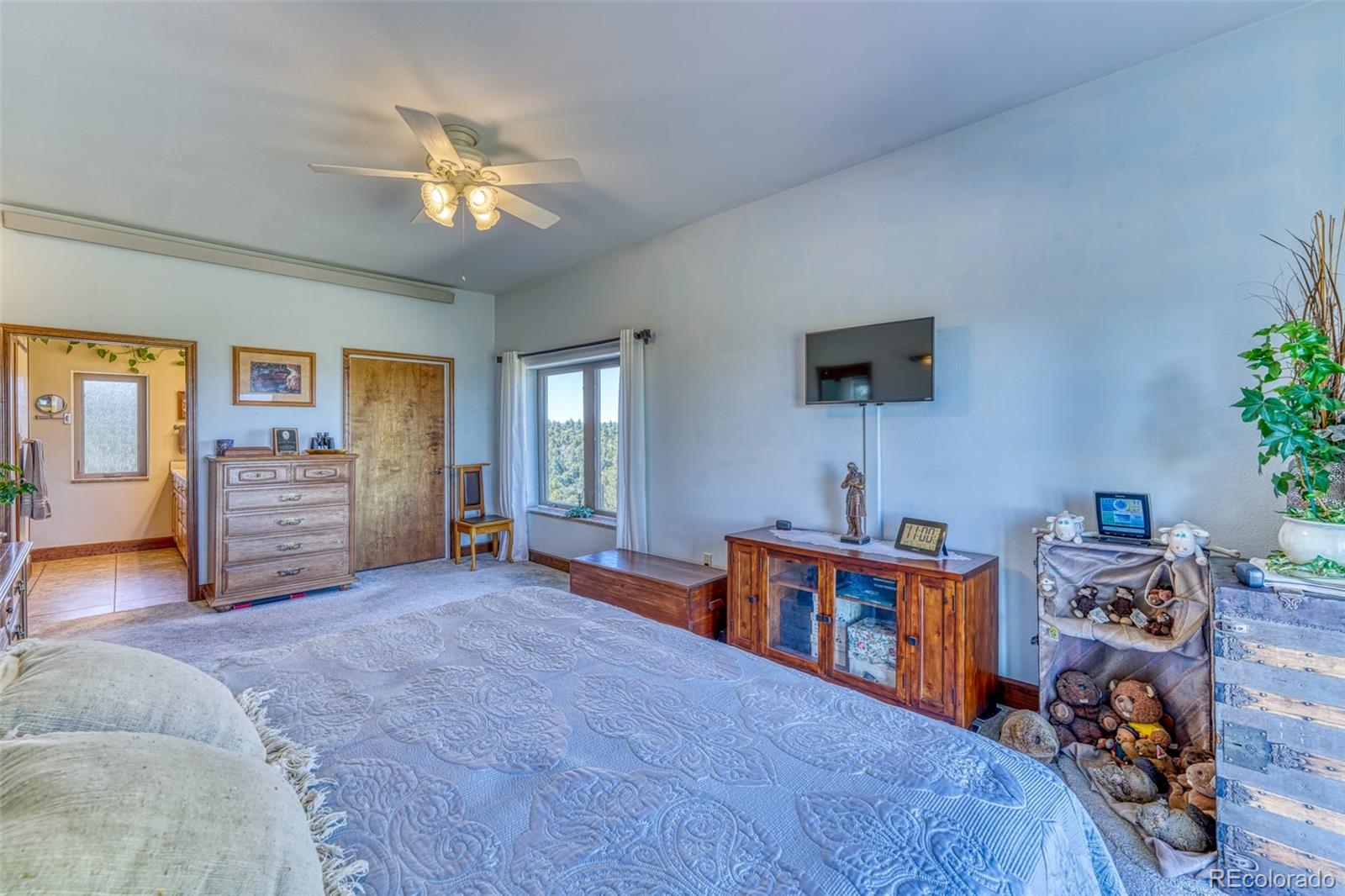 MLS Image #28 for 33330  cottonwood canyon drive,trinidad, Colorado