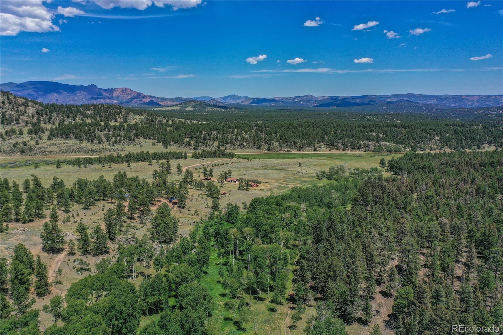 MLS Image #1 for 1410  county road 90 ,lake george, Colorado