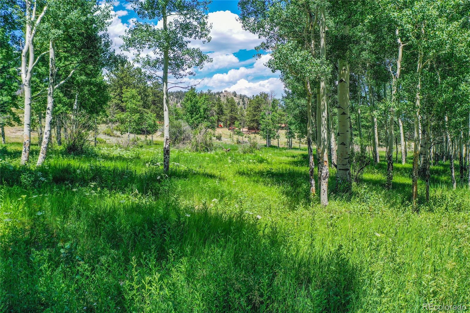 MLS Image #13 for 1410  county road 90 ,lake george, Colorado