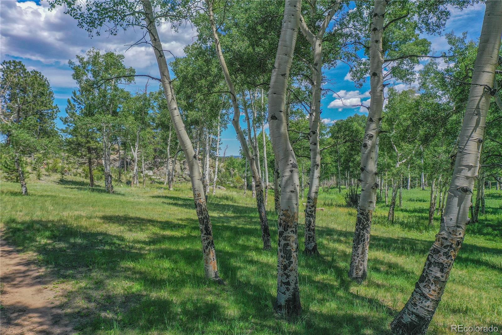 MLS Image #14 for 1410  county road 90 ,lake george, Colorado