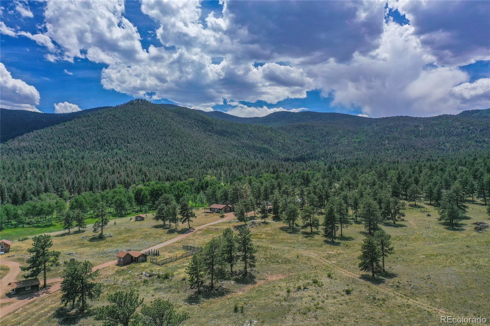 MLS Image #3 for 1410  county road 90 ,lake george, Colorado