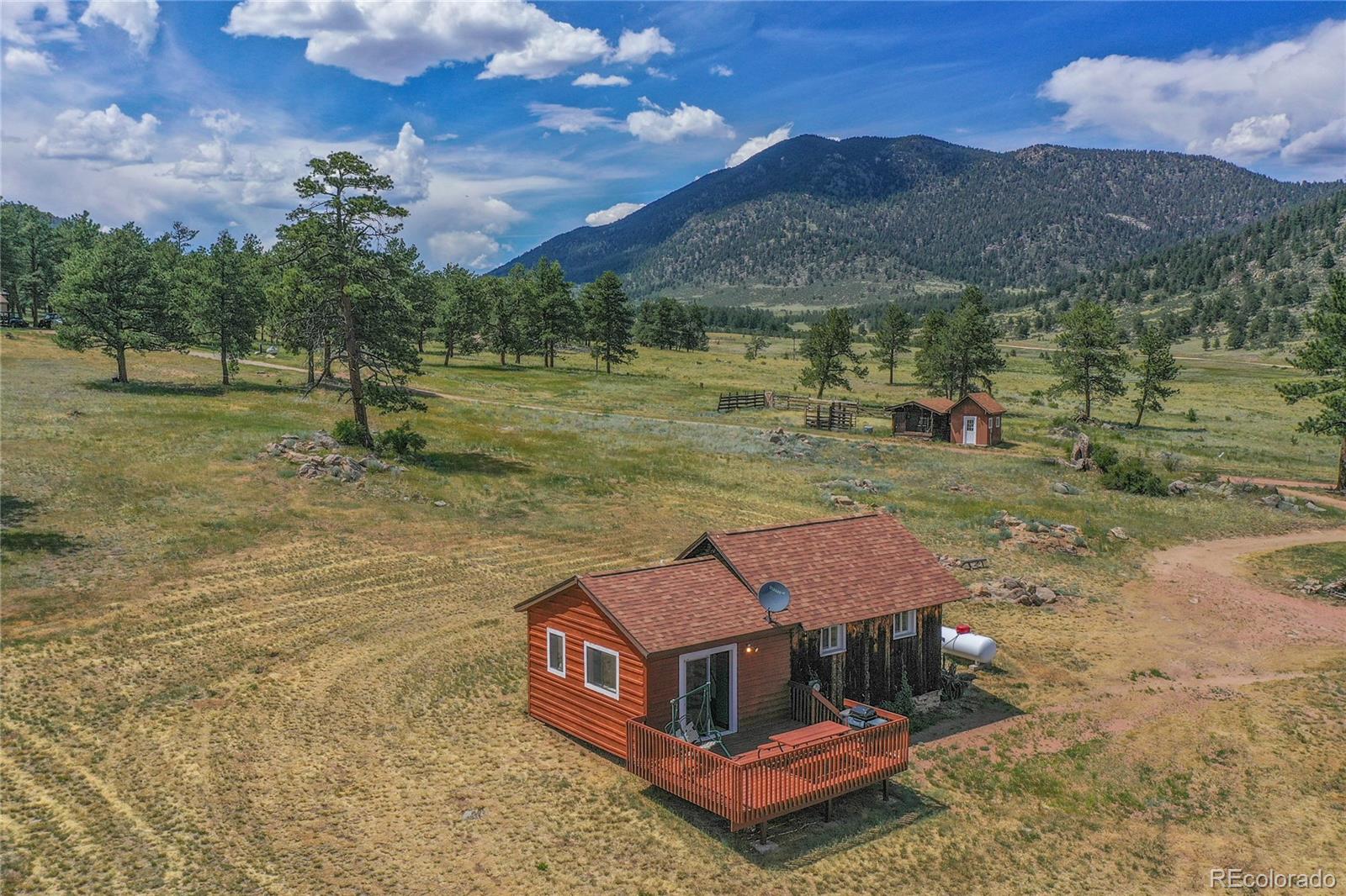 MLS Image #4 for 1410  county road 90 ,lake george, Colorado