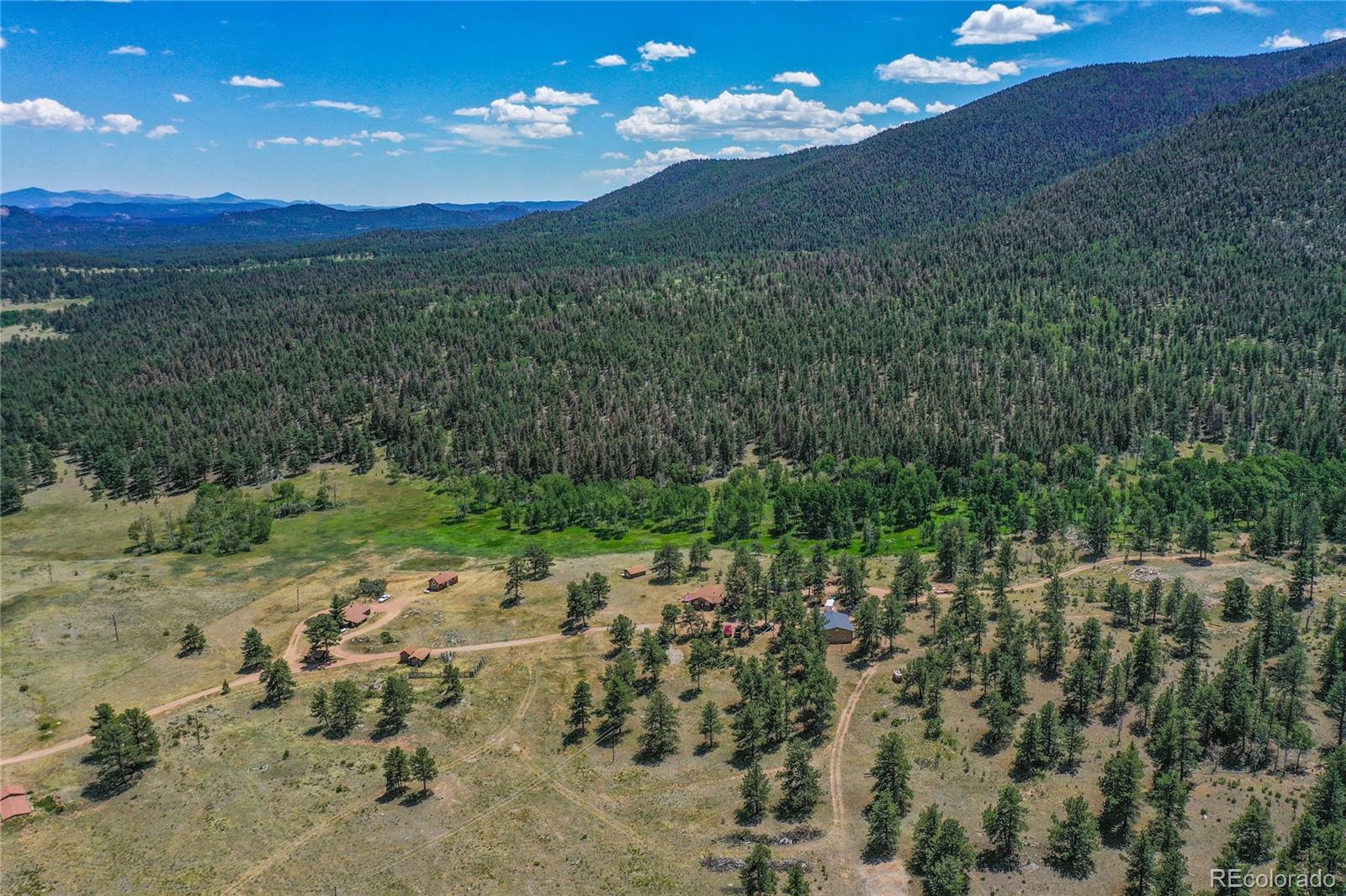 MLS Image #6 for 1410  county road 90 ,lake george, Colorado