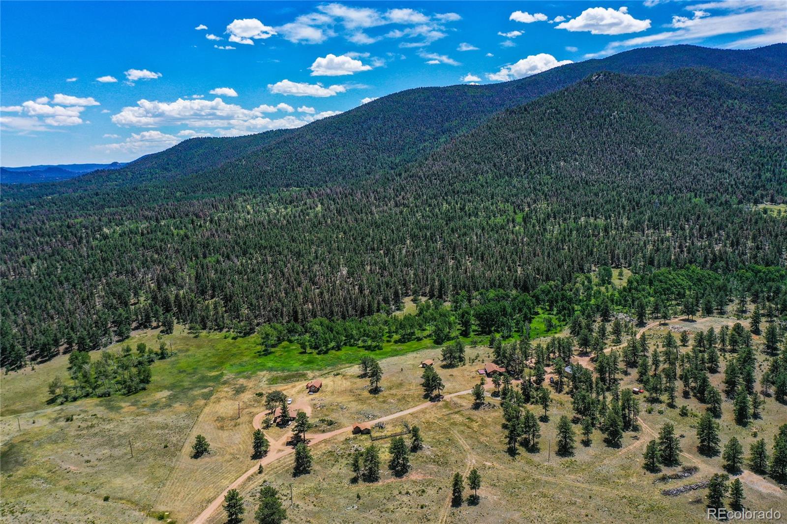 MLS Image #9 for 1410  county road 90 ,lake george, Colorado