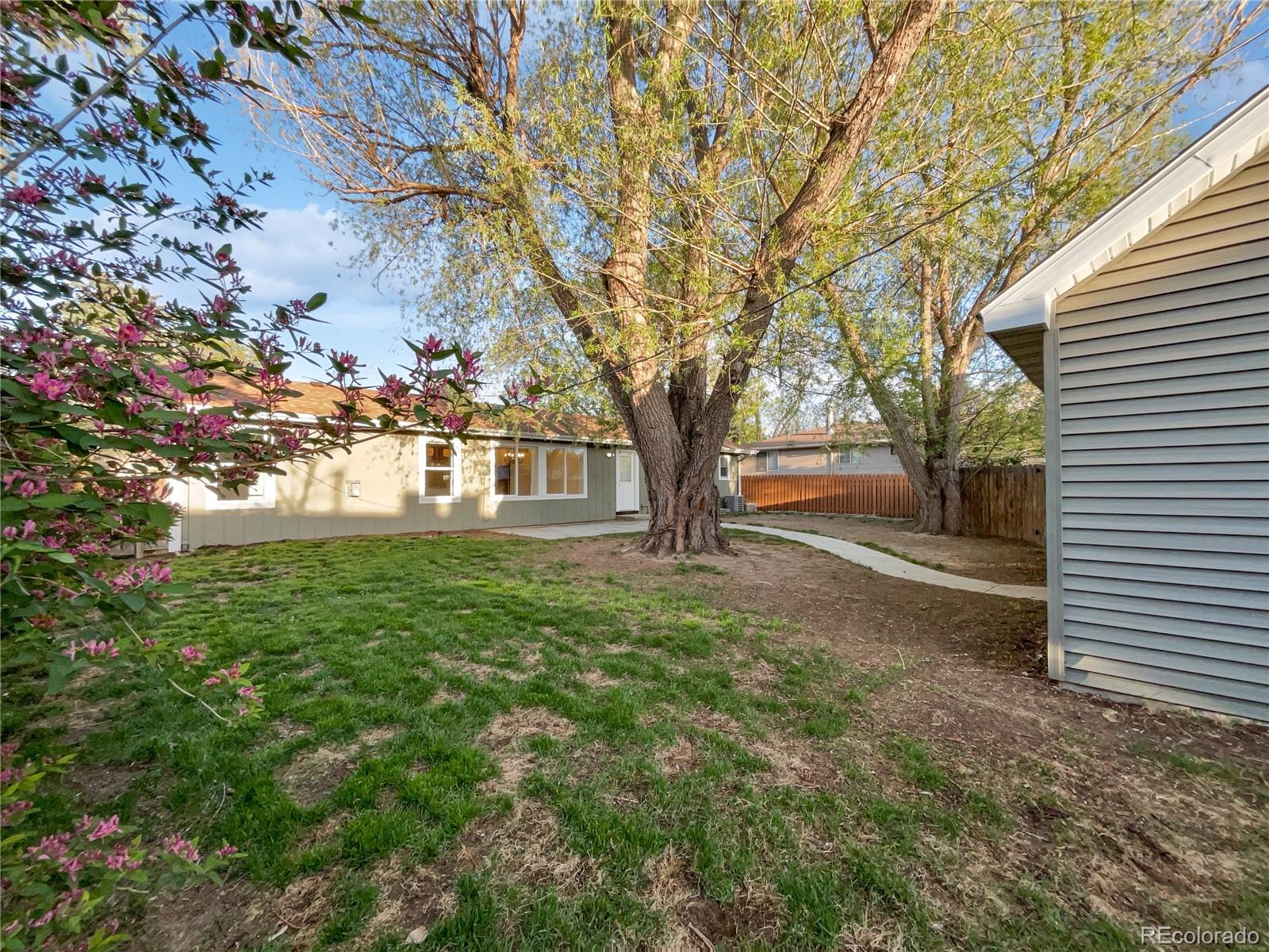 MLS Image #14 for 2117  collyer street,longmont, Colorado