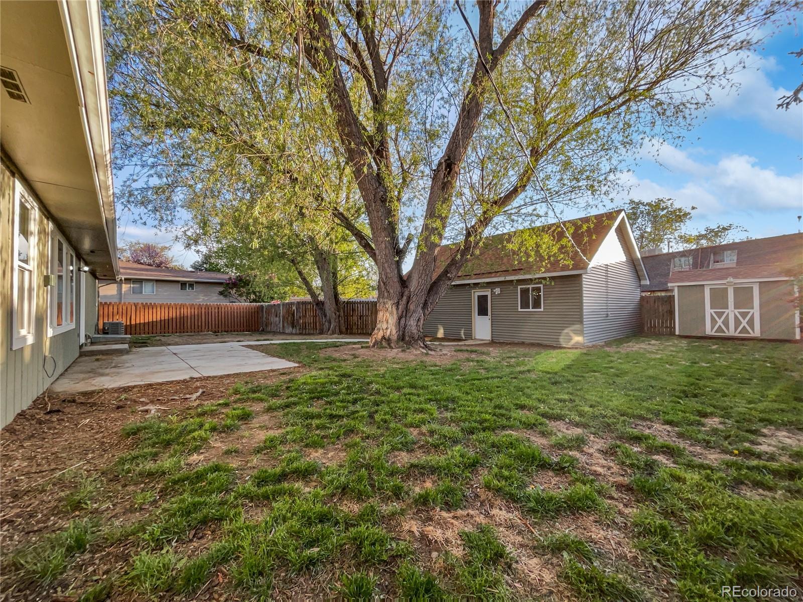 MLS Image #18 for 2117  collyer street,longmont, Colorado