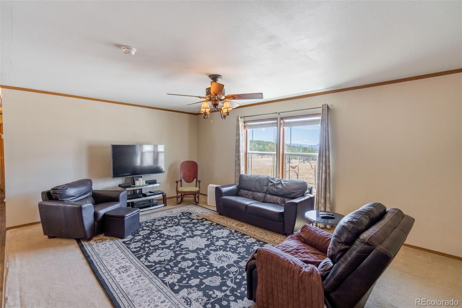 MLS Image #2 for 1729  county road 27a ,cotopaxi, Colorado