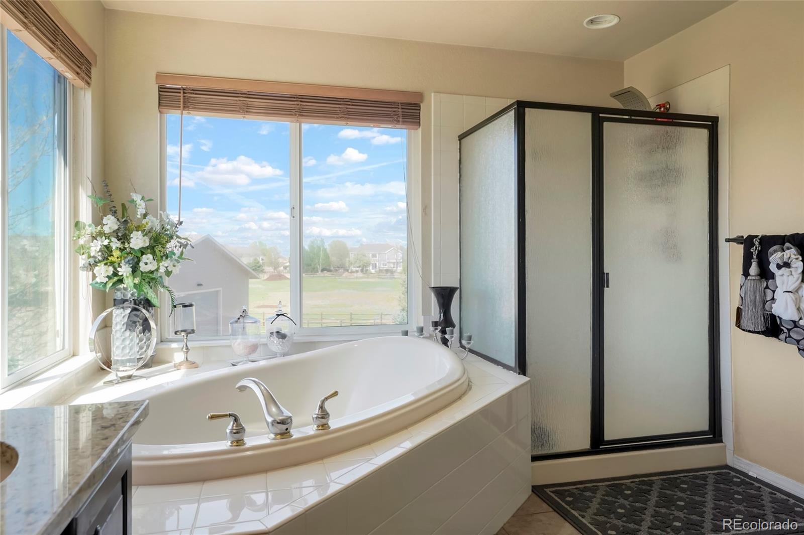 MLS Image #18 for 8014  steeplechase drive,windsor, Colorado