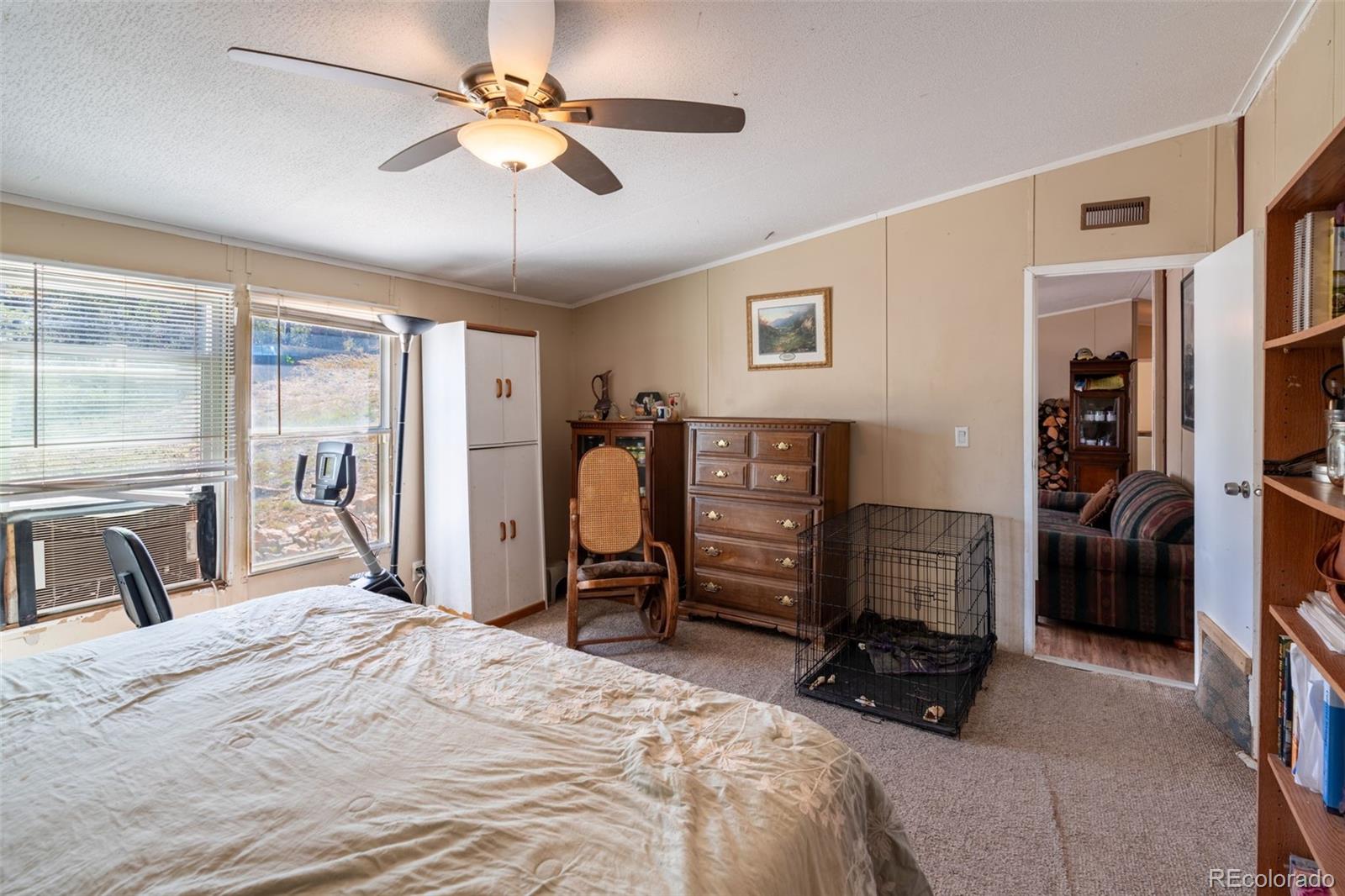 MLS Image #9 for 36  orlando lane ,cotopaxi, Colorado