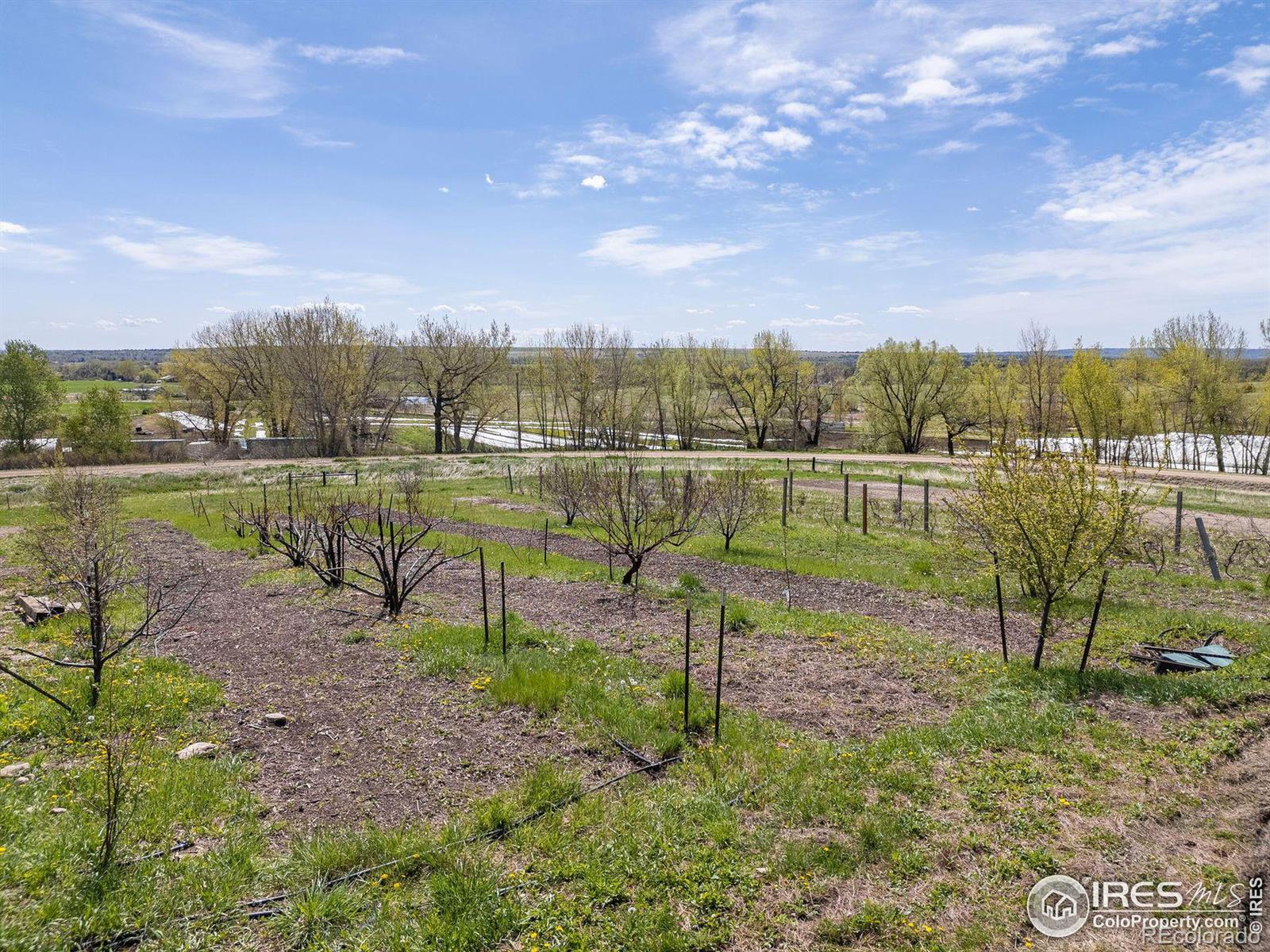 MLS Image #34 for 5952  oxford road,longmont, Colorado