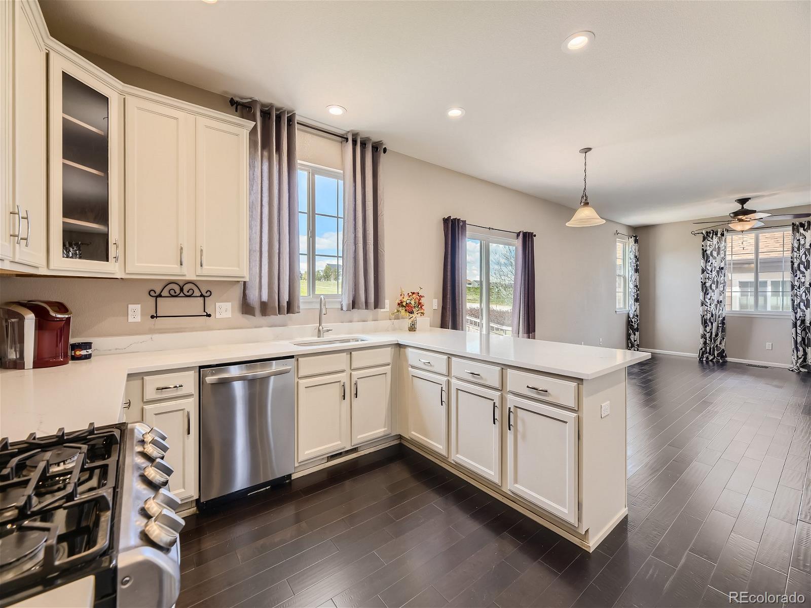 MLS Image #8 for 3024  open sky way,castle rock, Colorado