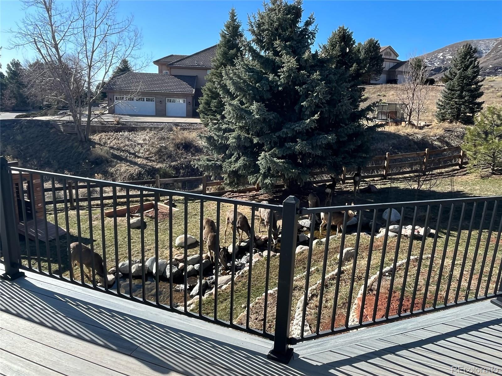 MLS Image #29 for 23  tamarade drive,littleton, Colorado