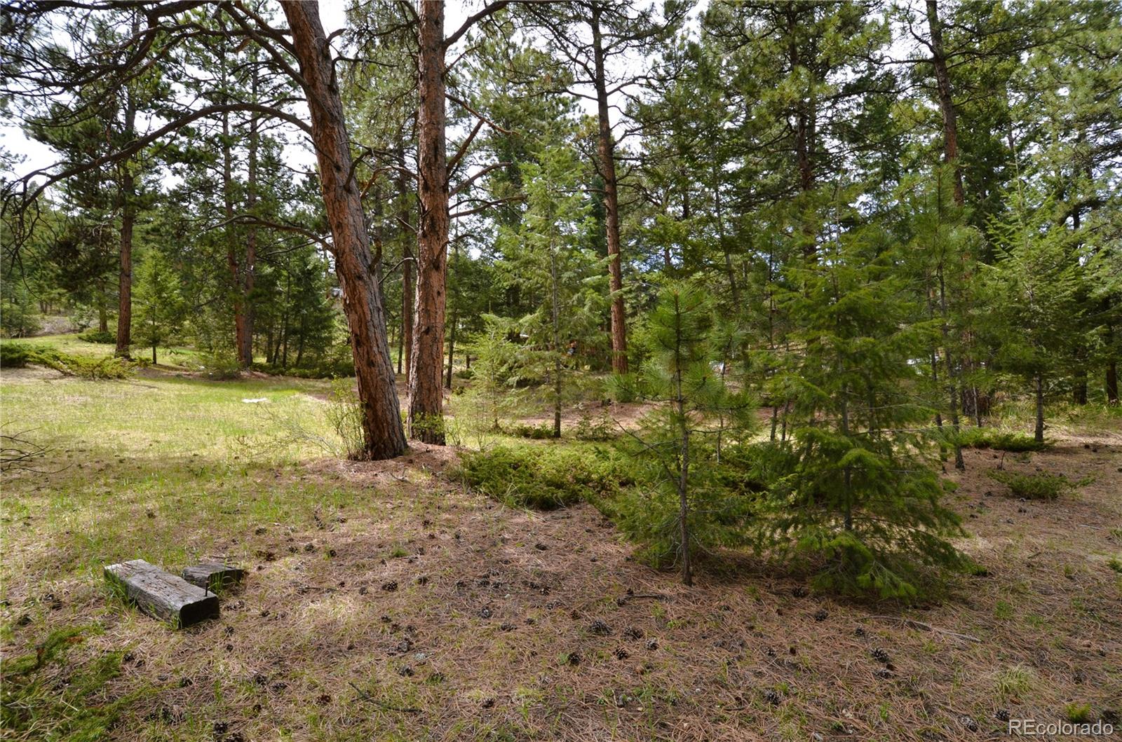 MLS Image #18 for 28466  cragmont drive,evergreen, Colorado