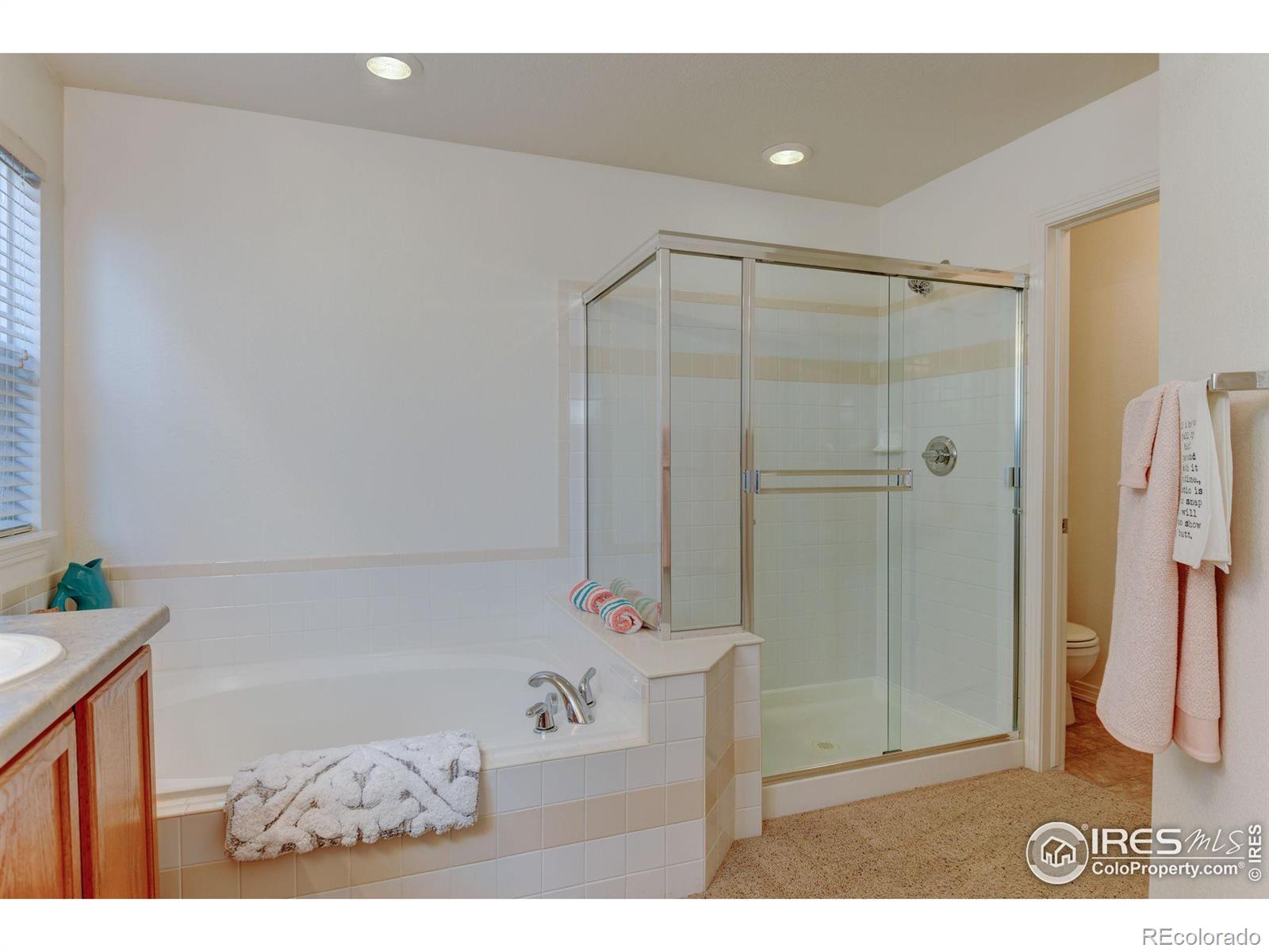 MLS Image #21 for 757  tanager circle,longmont, Colorado