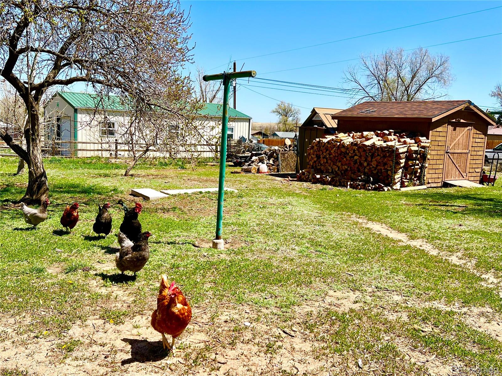 MLS Image #24 for 510  ute avenue,simla, Colorado