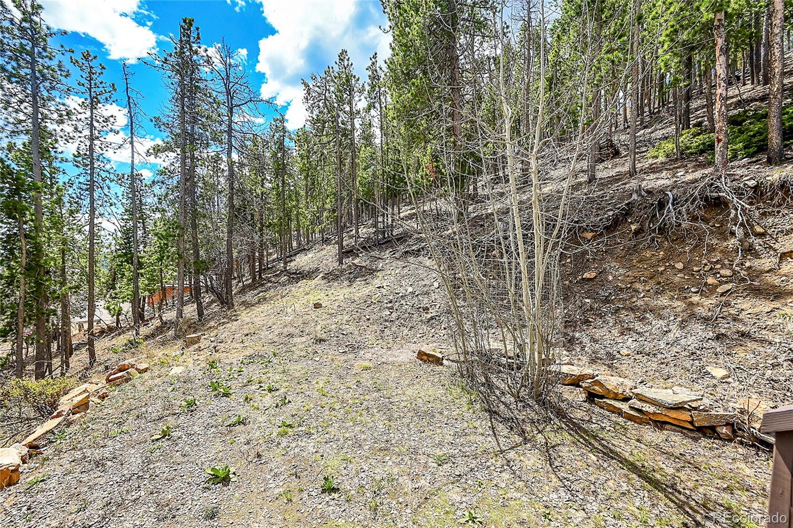 MLS Image #37 for 405  hy vu drive,evergreen, Colorado