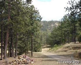 MLS Image #4 for 18908  to be disclosed ,weston, Colorado