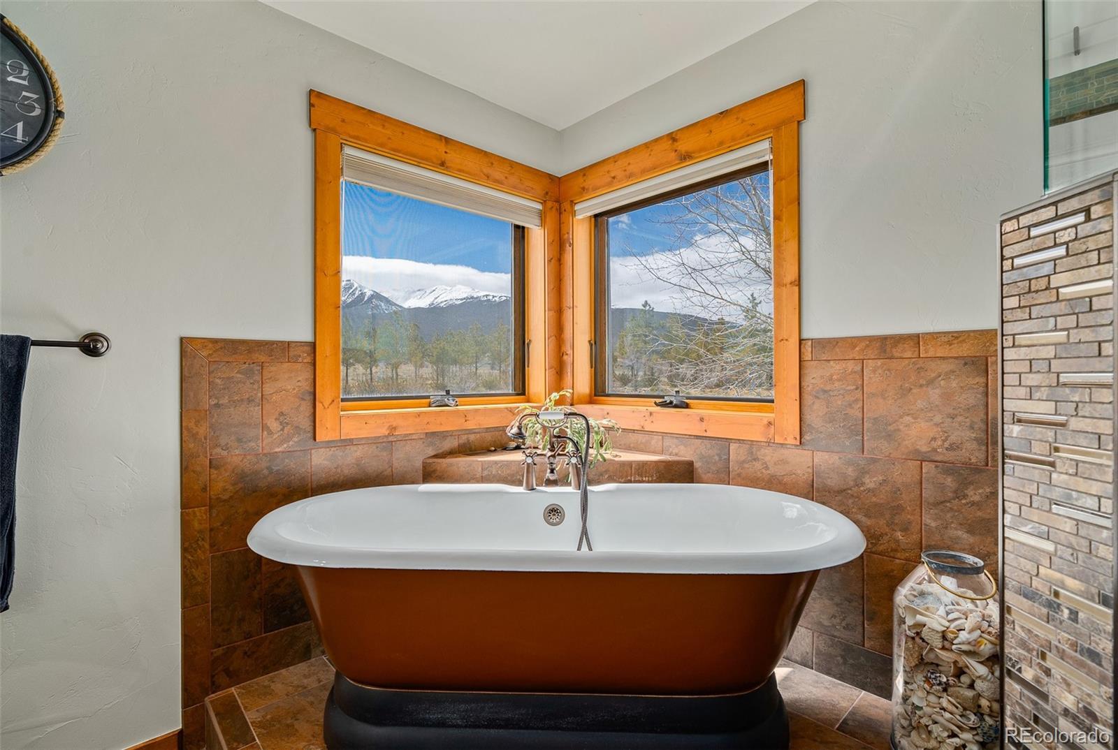 MLS Image #22 for 32220  county road 361 ,buena vista, Colorado