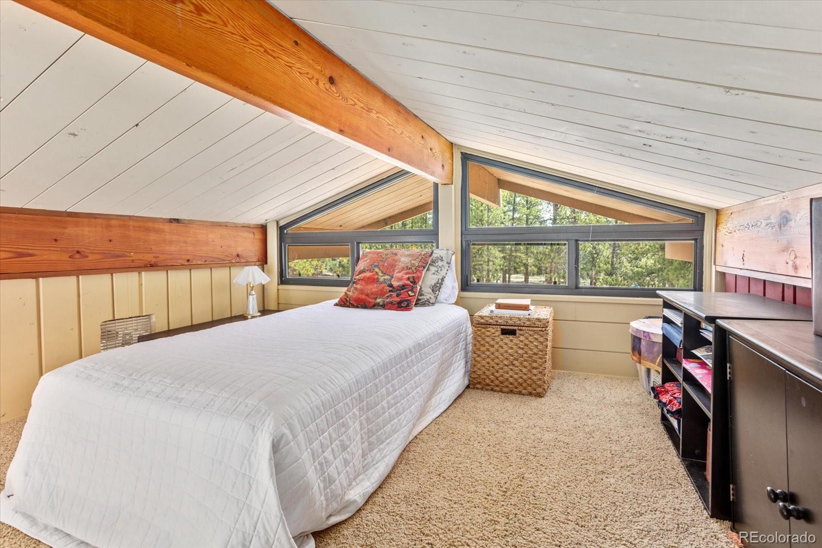 MLS Image #22 for 16340  mt princeton road,buena vista, Colorado