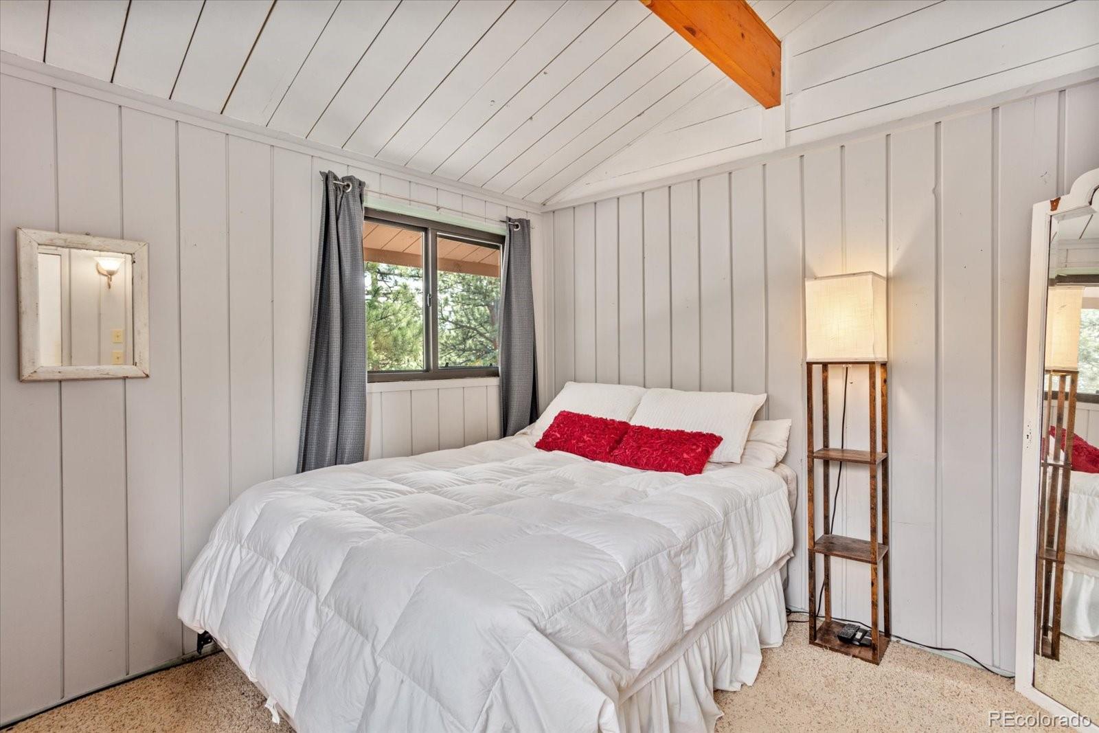 MLS Image #23 for 16340  mt princeton road,buena vista, Colorado