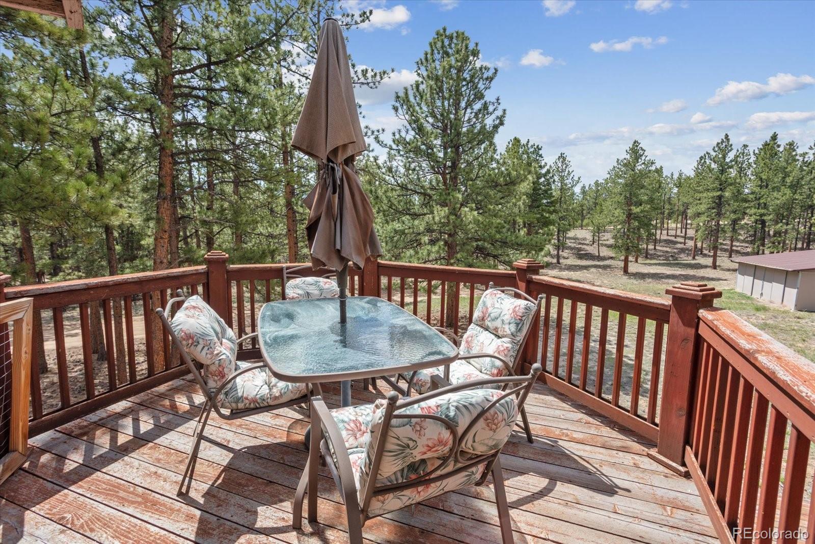 MLS Image #44 for 16340  mt princeton road,buena vista, Colorado