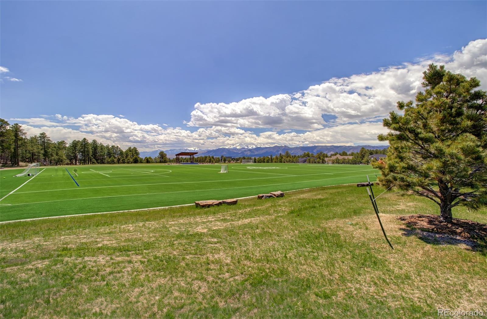 MLS Image #31 for 16396  mountain glory drive,monument, Colorado