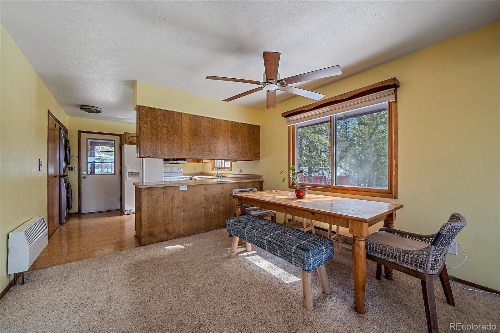 MLS Image #11 for 237  road b ,pine, Colorado