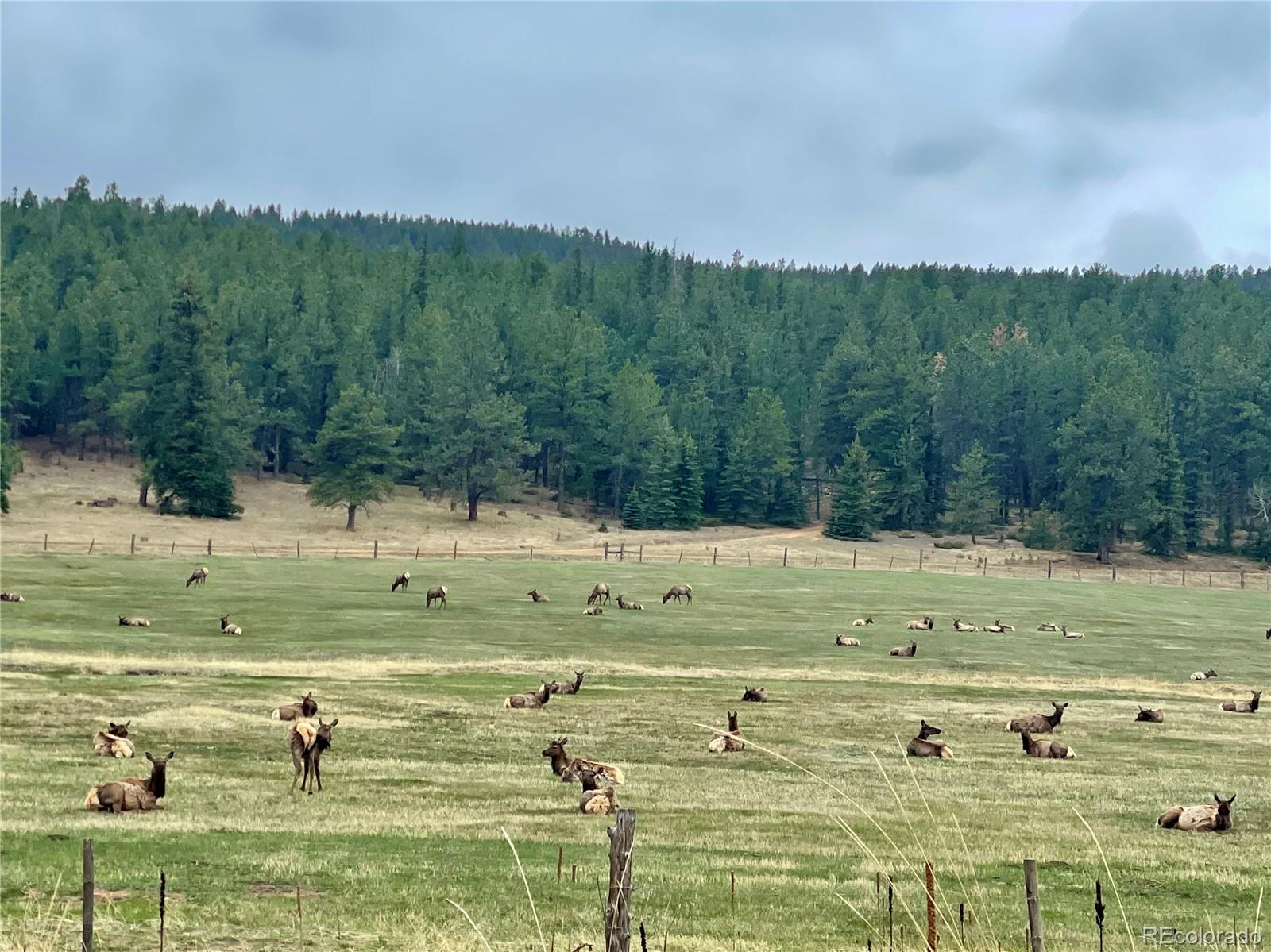 MLS Image #47 for 237  road b ,pine, Colorado