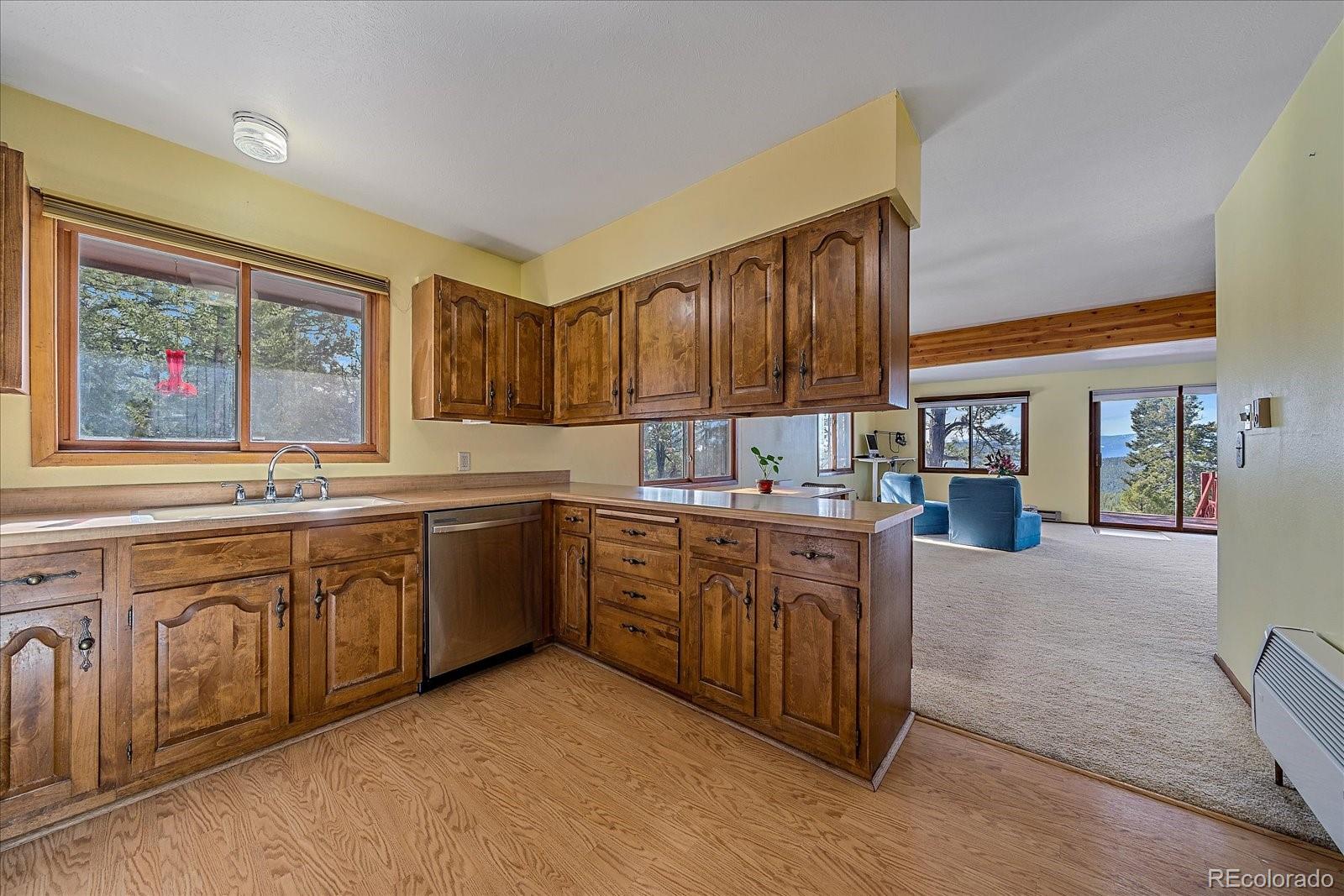 MLS Image #9 for 237  road b ,pine, Colorado