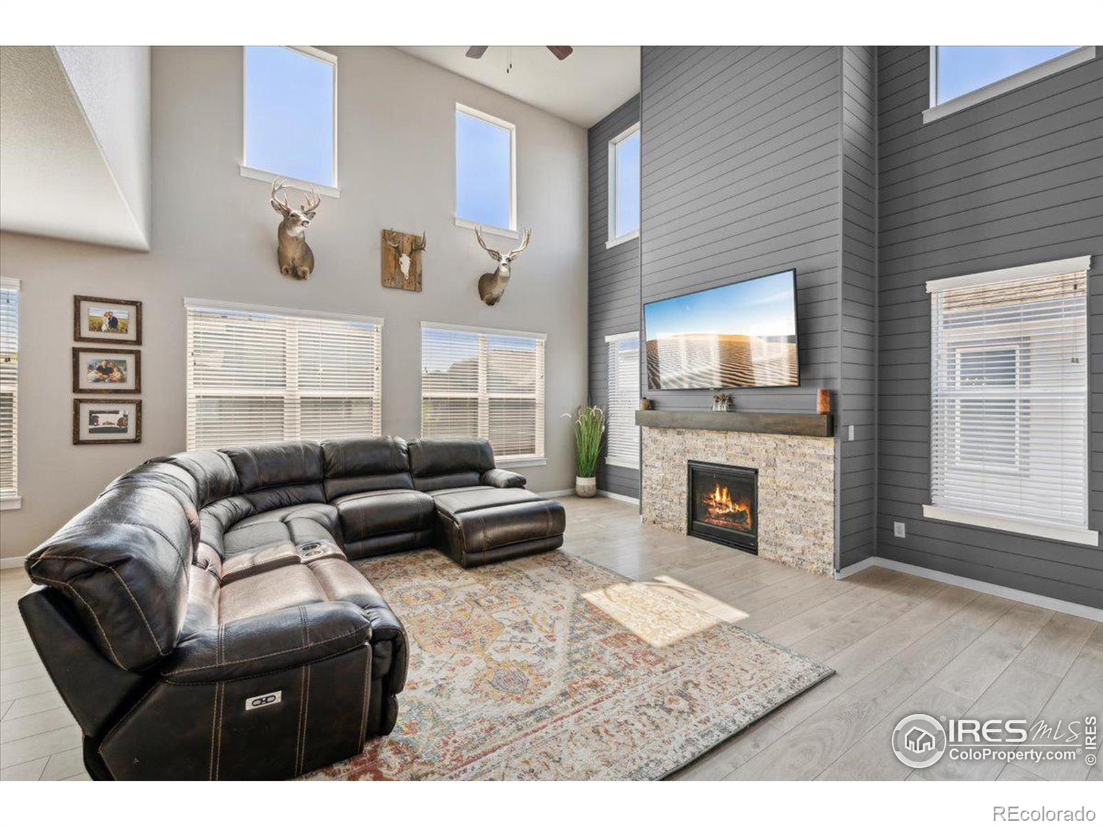 MLS Image #4 for 2089  gather court,windsor, Colorado