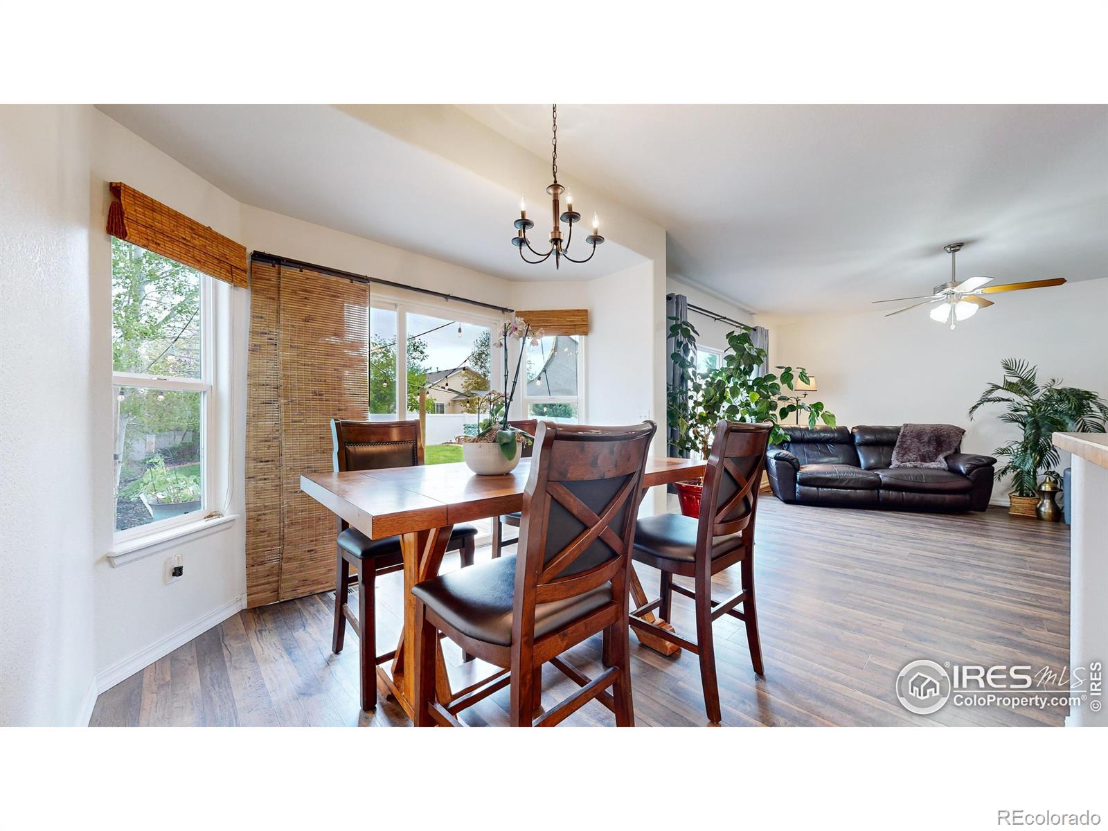 MLS Image #6 for 2503  thoreau drive,fort collins, Colorado