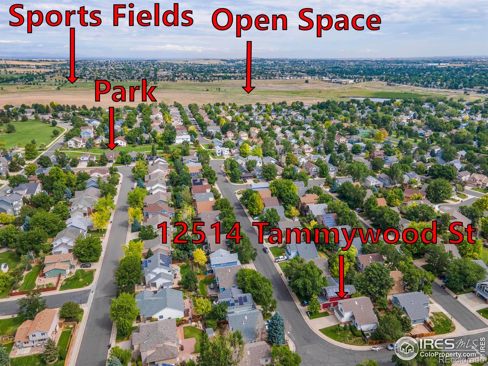 MLS Image #30 for 12514  tammywood street,broomfield, Colorado