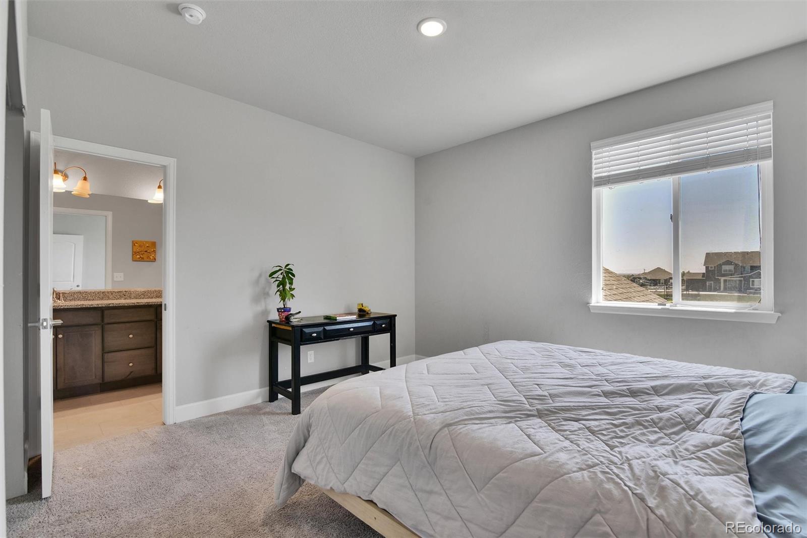 MLS Image #23 for 9904 e 161st place,brighton, Colorado