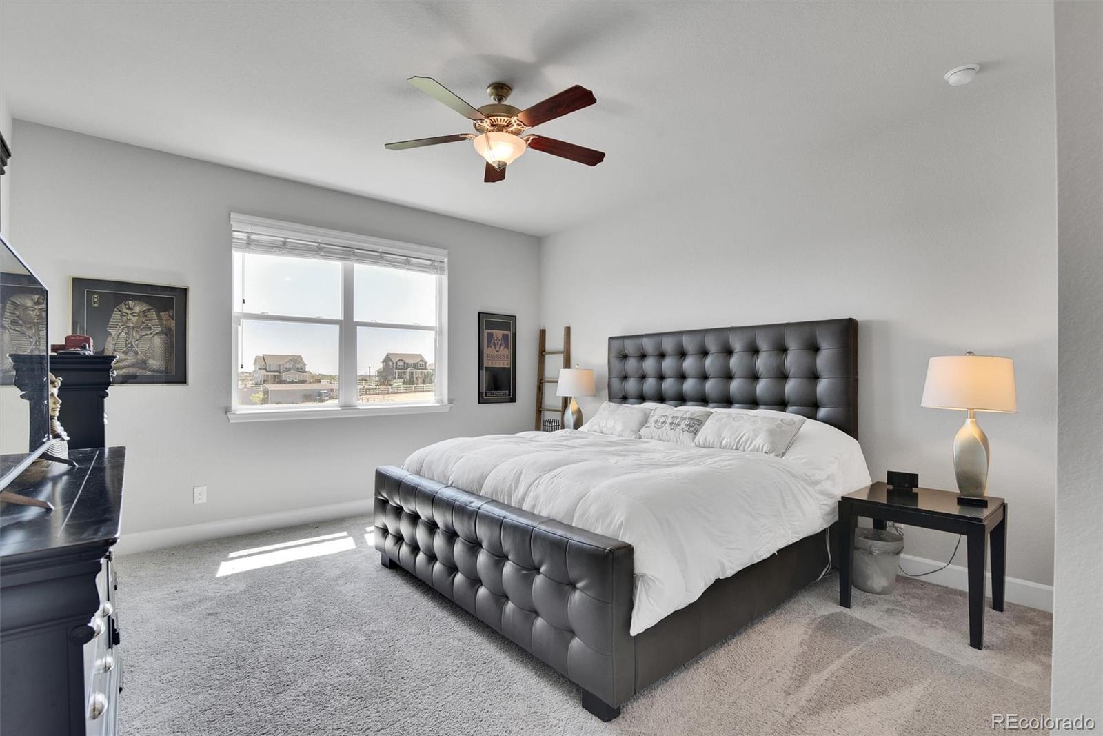 MLS Image #26 for 9904 e 161st place,brighton, Colorado