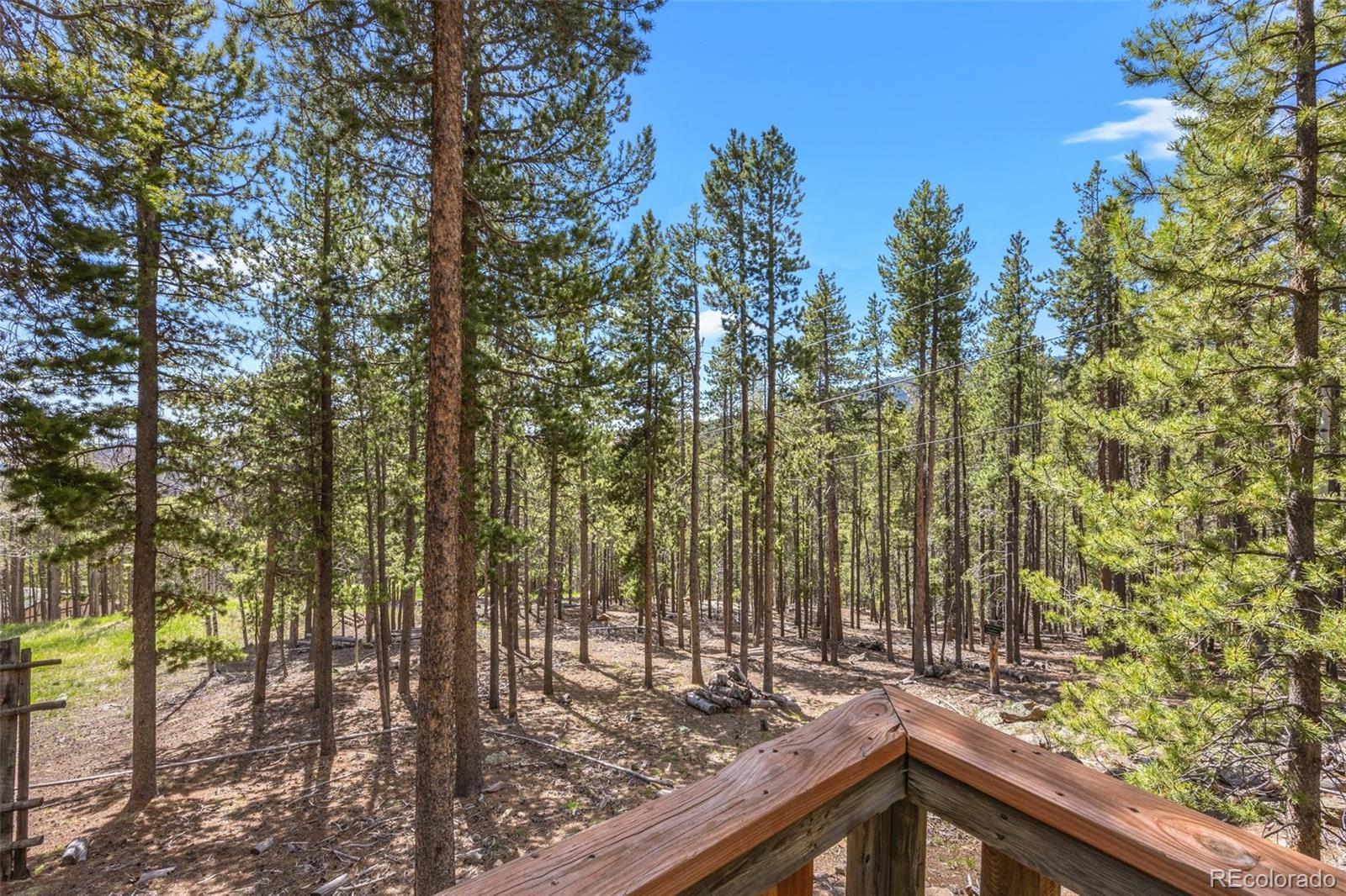MLS Image #31 for 217  sioux trail,evergreen, Colorado