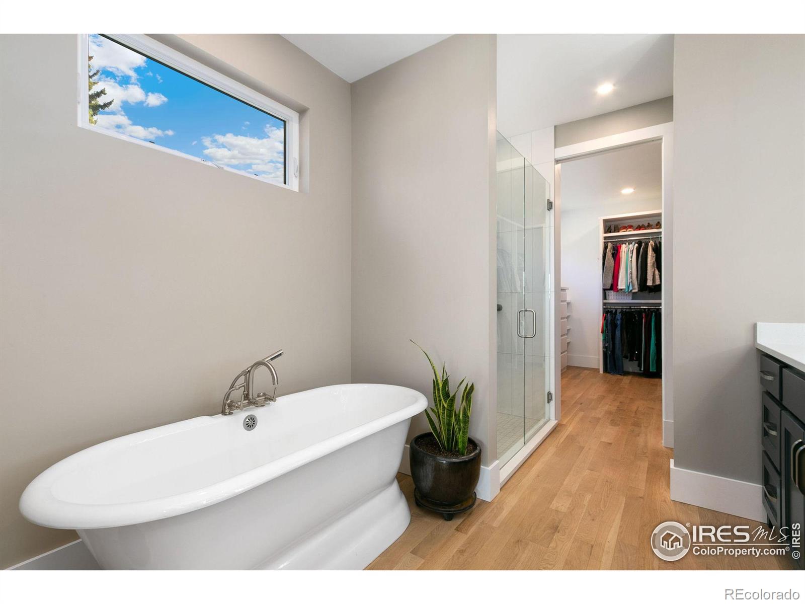 MLS Image #19 for 119 n shields street,fort collins, Colorado