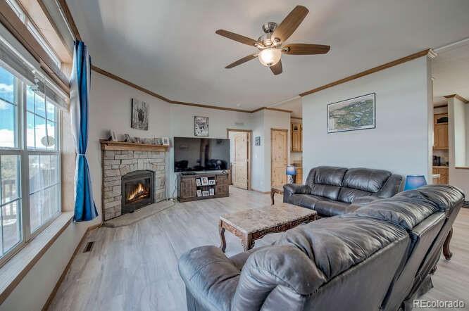 MLS Image #10 for 204  crooked creek road,fairplay, Colorado