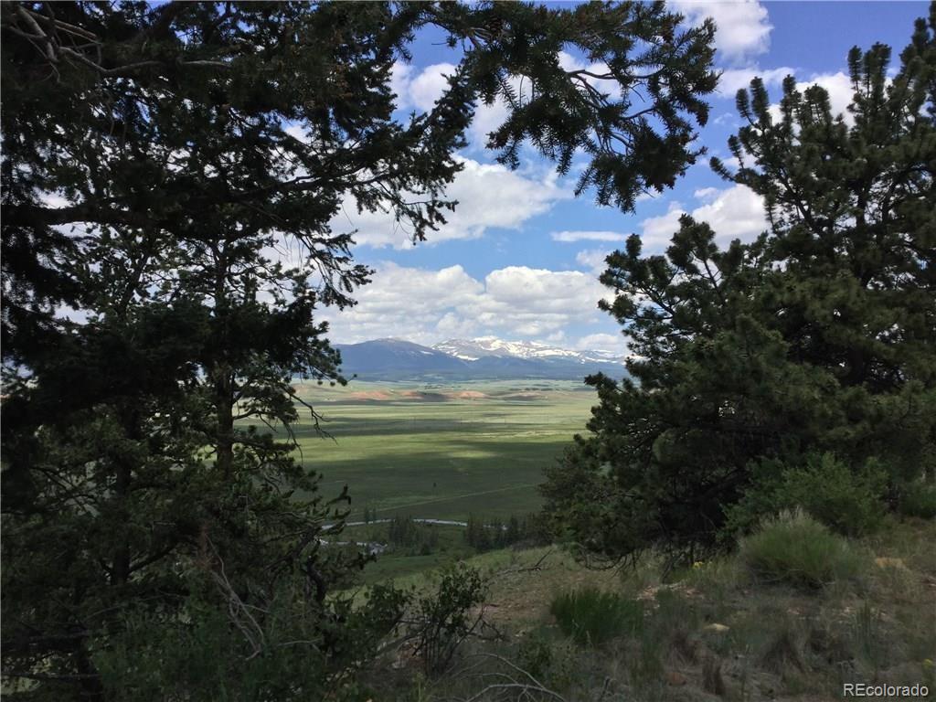 MLS Image #3 for 204  crooked creek road,fairplay, Colorado