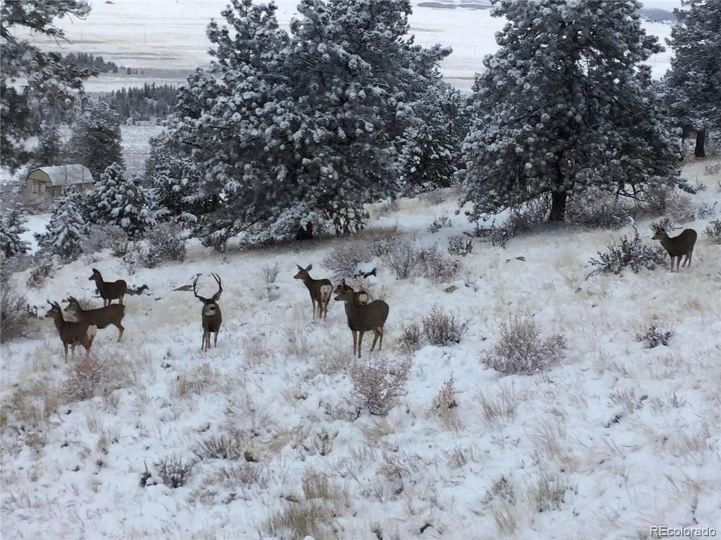 MLS Image #7 for 204  crooked creek road,fairplay, Colorado